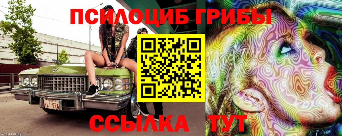 Ишим  Псилоцибиновые грибы прущие грибы  Галлюциногенные грибы Psilocybe  Вход с VPN 
