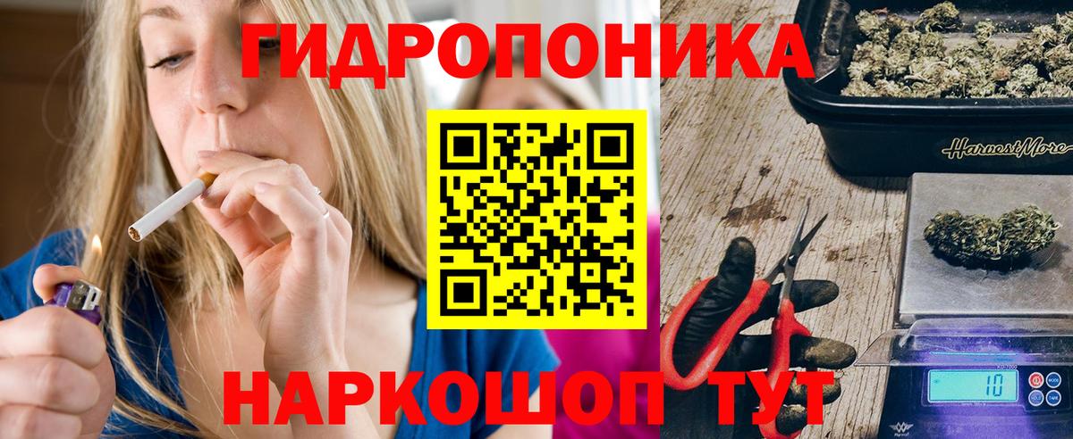 Ишим  Канабис планчик  Канабис план  Марихуана Bruce Banner  Вход с VPN 